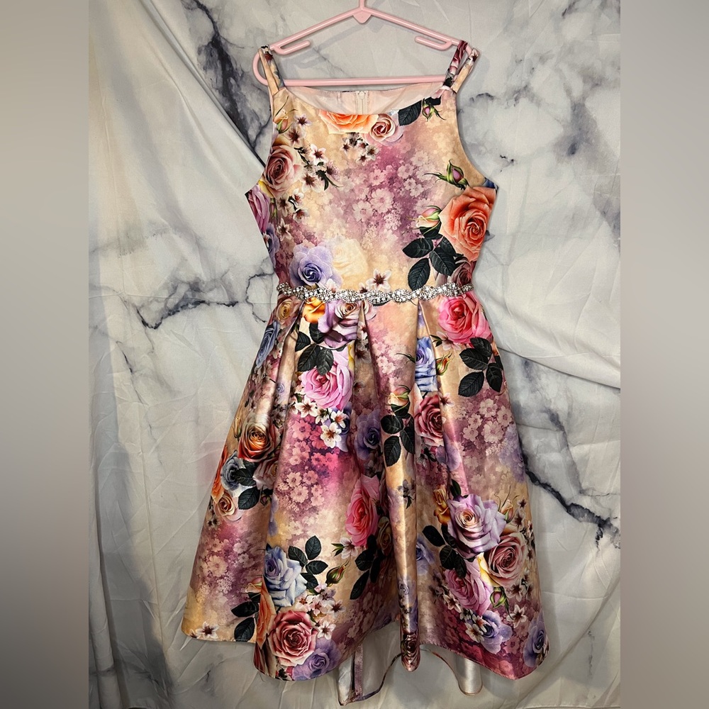 Beautiful Rose Dress